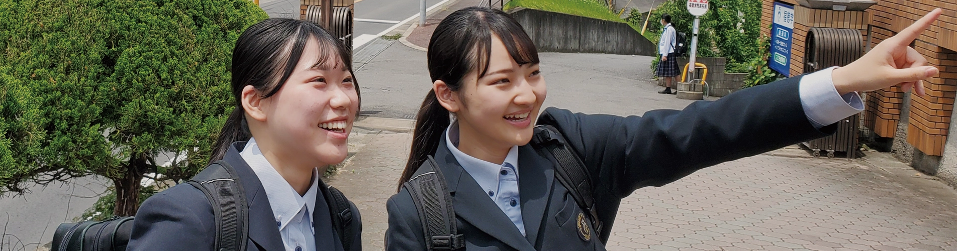 学校案内